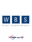 12-wbs08