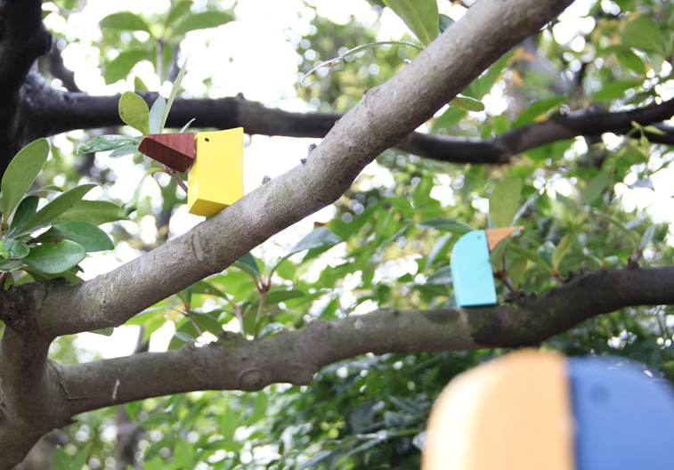 BIRD CALL03_big